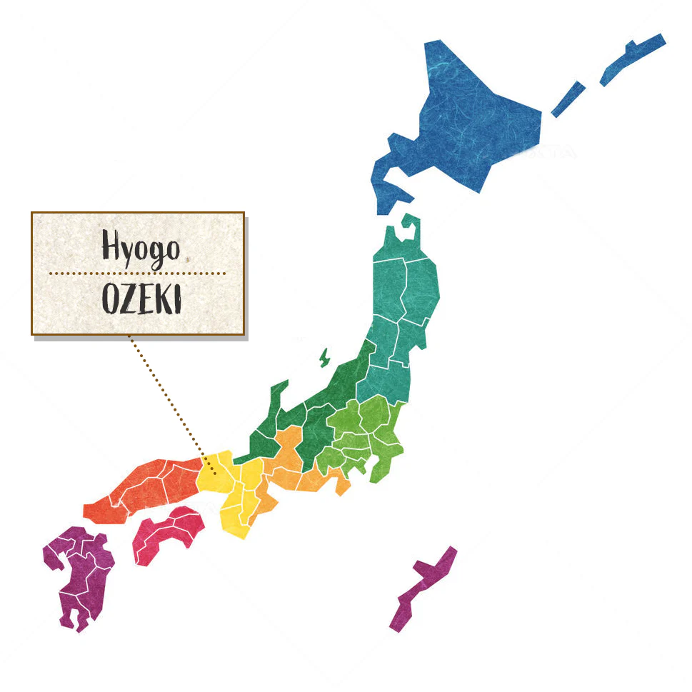 [SYD]OZEKI GokujoNoAmakuchi 720ml - Image 3