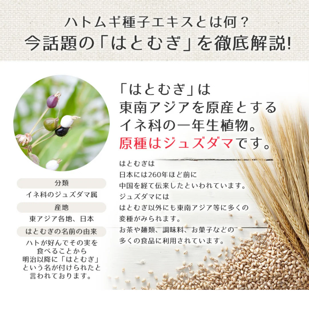 [SYD]HATOMUGI Milky Cream 300g - Image 6